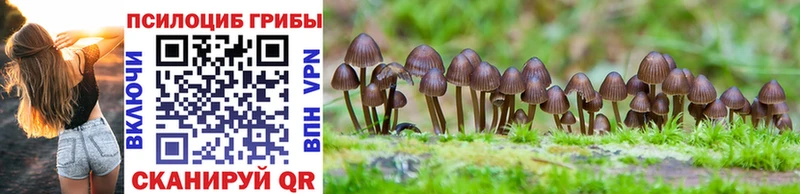 цена   Камень-на-Оби  Галлюциногенные грибы MAGIC MUSHROOMS 
